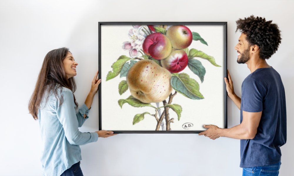 J. B. Pointel du Portail