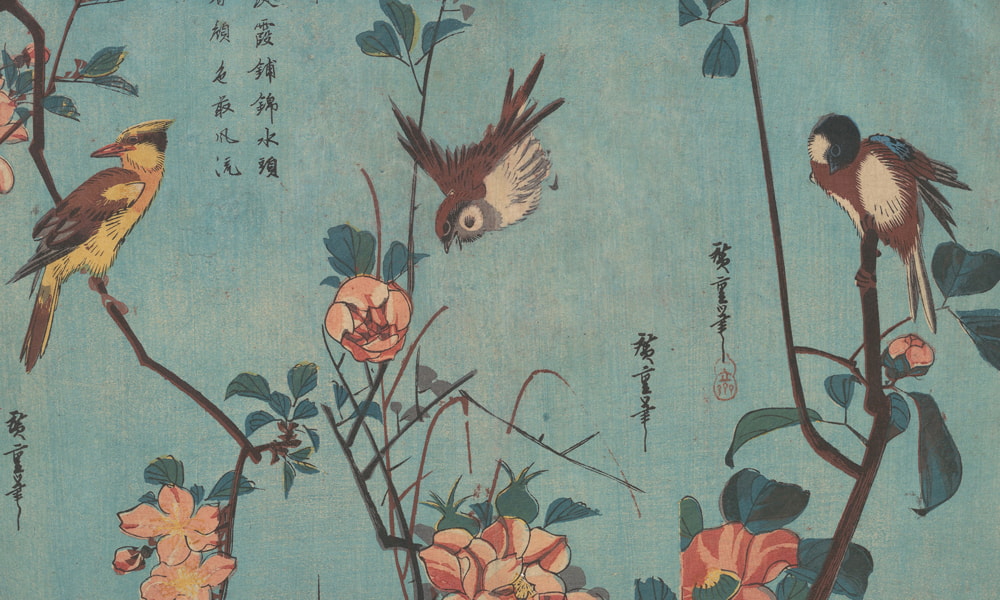 Artyści z całego świata – przegląd według krajów