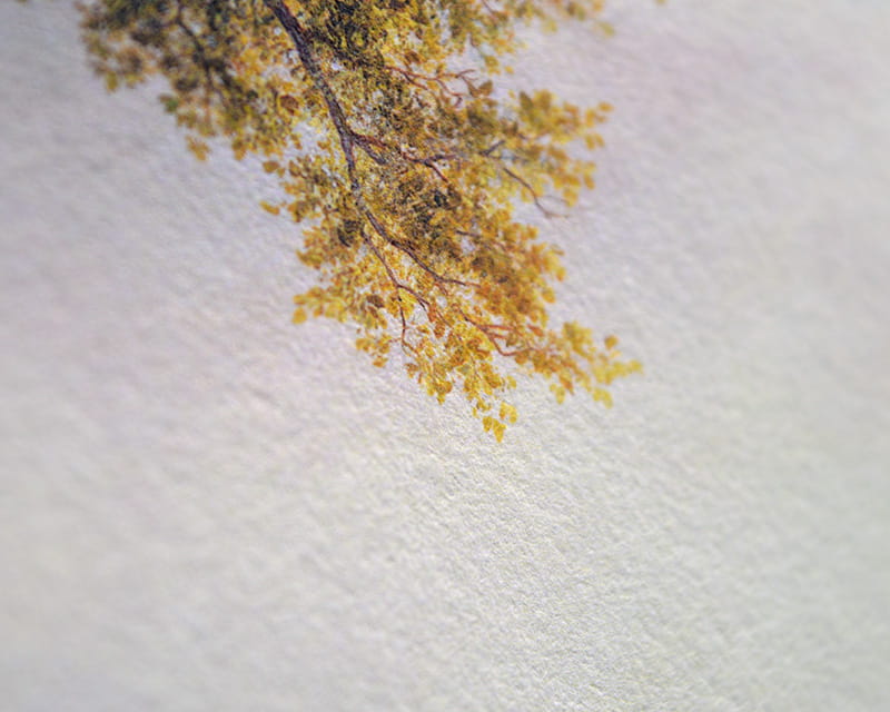 Kozo White, 110g (Papier z włókna morwowego, biały)  14