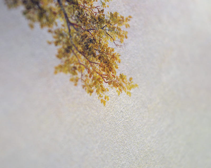 Murakumo Natural, 42g (Cienki papier japoński, naturalny)  14