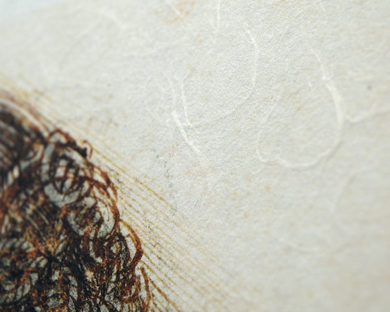 Premio Unryu, 165g (Washi z mętnymi włóknami kozo)  22