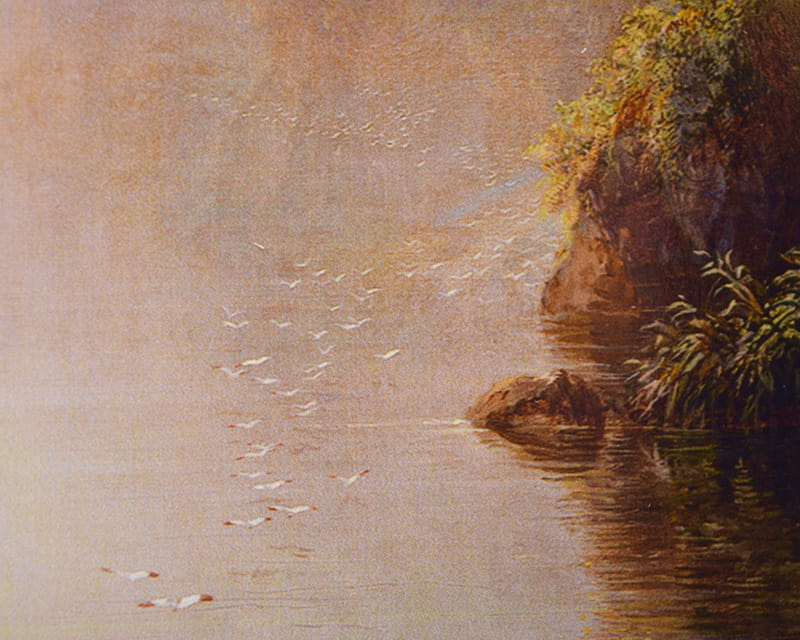 FineArt - Foto baryt (Hahnemühle Gloss Baryta)  24