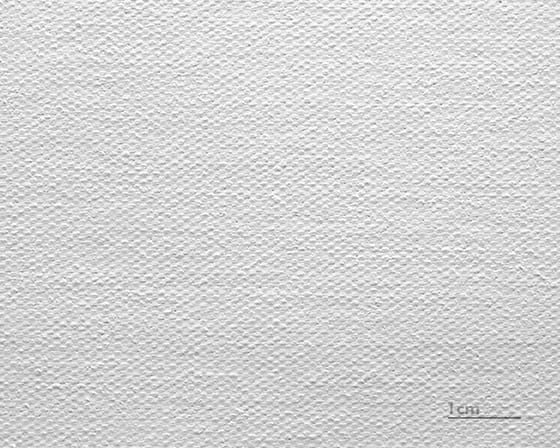 Płótno Leonardo (satyna)