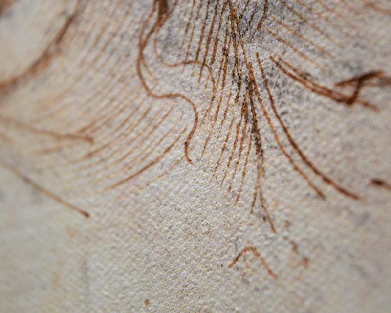 Płótno Rafael (matowe) (Epson Premium Canvas Matte)  9