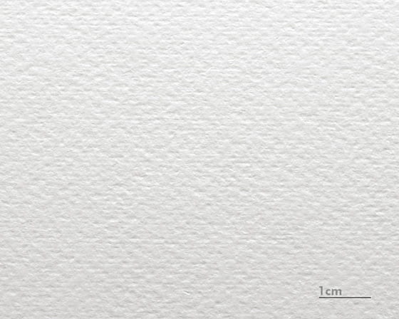 Tektura akwarelowa Renoir