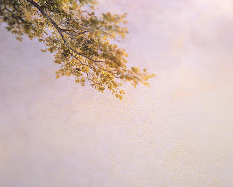 FineArt - Foto matowy (Museum Natural Smooth)  25