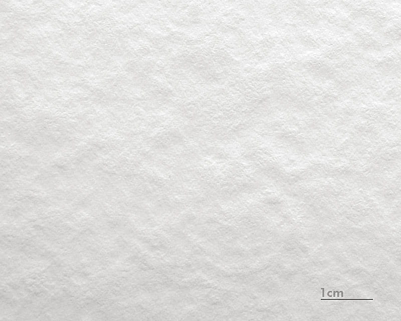 Tektura akwarelowa Munch (Hahnemühle Torchon 285)  1