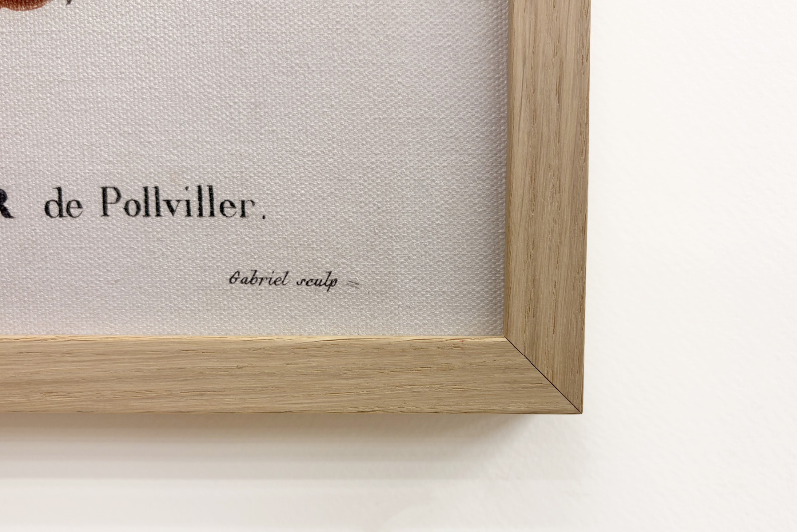 Poirier de Pollviller - w „”New Duhamel du Monceau lub traktacie o drzewach i krzewach uprawianych we Francji””, figury według rysunków P.J. Redoute i P. Bessa, Paryż - Pierre Joseph (after) Redoute