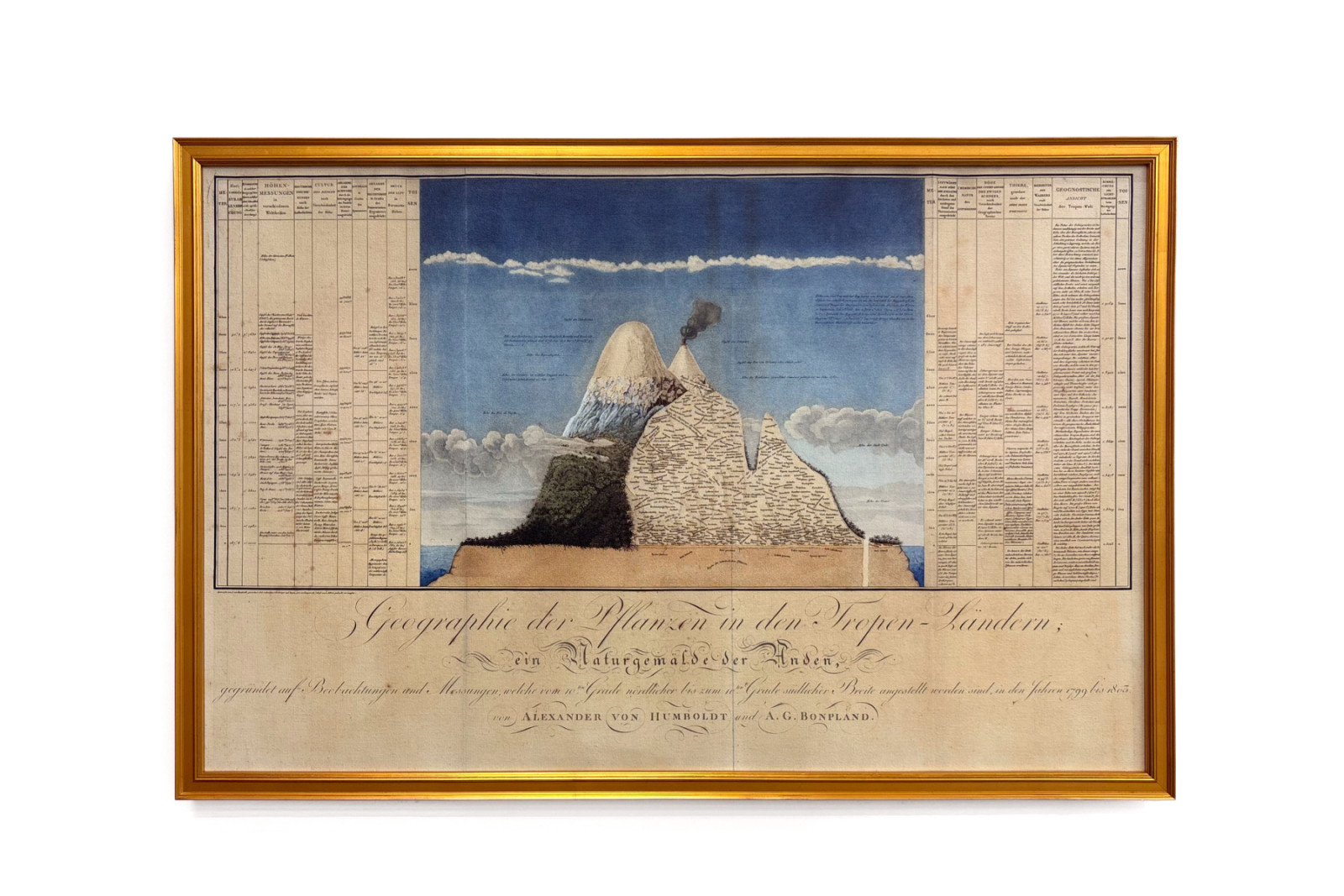 Geografia roślin w krajach tropikalnych, studium Andów, rysunek Schoenbergera i Turpina, druk Langlois, Paryż - Baron Friedrich Alexander von Humboldt