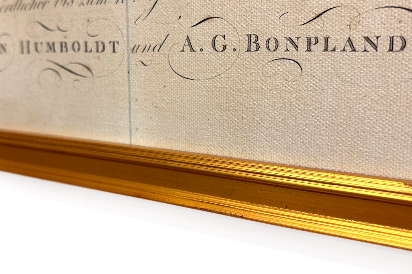 Geografia roślin w krajach tropikalnych, studium Andów, rysunek Schoenbergera i Turpina, druk Langlois, Paryż - Baron Friedrich Alexander von Humboldt