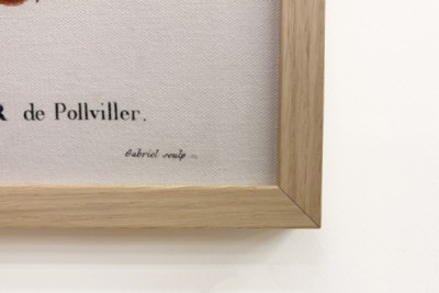Poirier de Pollviller - w „”New Duhamel du Monceau lub traktacie o drzewach i krzewach uprawianych we Francji””, figury według rysunków P.J. Redoute i P. Bessa, Paryż