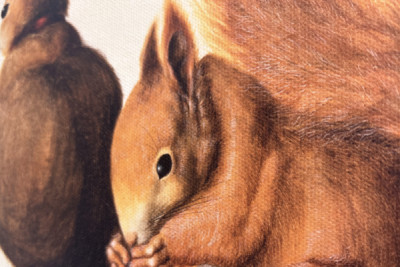 Wiewiórki, 1512 (tempera na pergaminie)