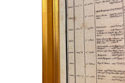 Geografia roślin w krajach tropikalnych, studium Andów, rysunek Schoenbergera i Turpina, druk Langlois, Paryż