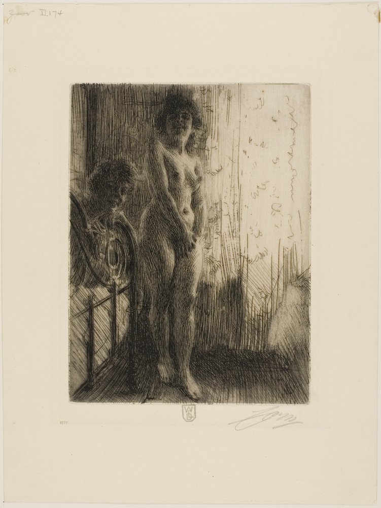 Ciemny zakątek autorstwa Anders Zorn