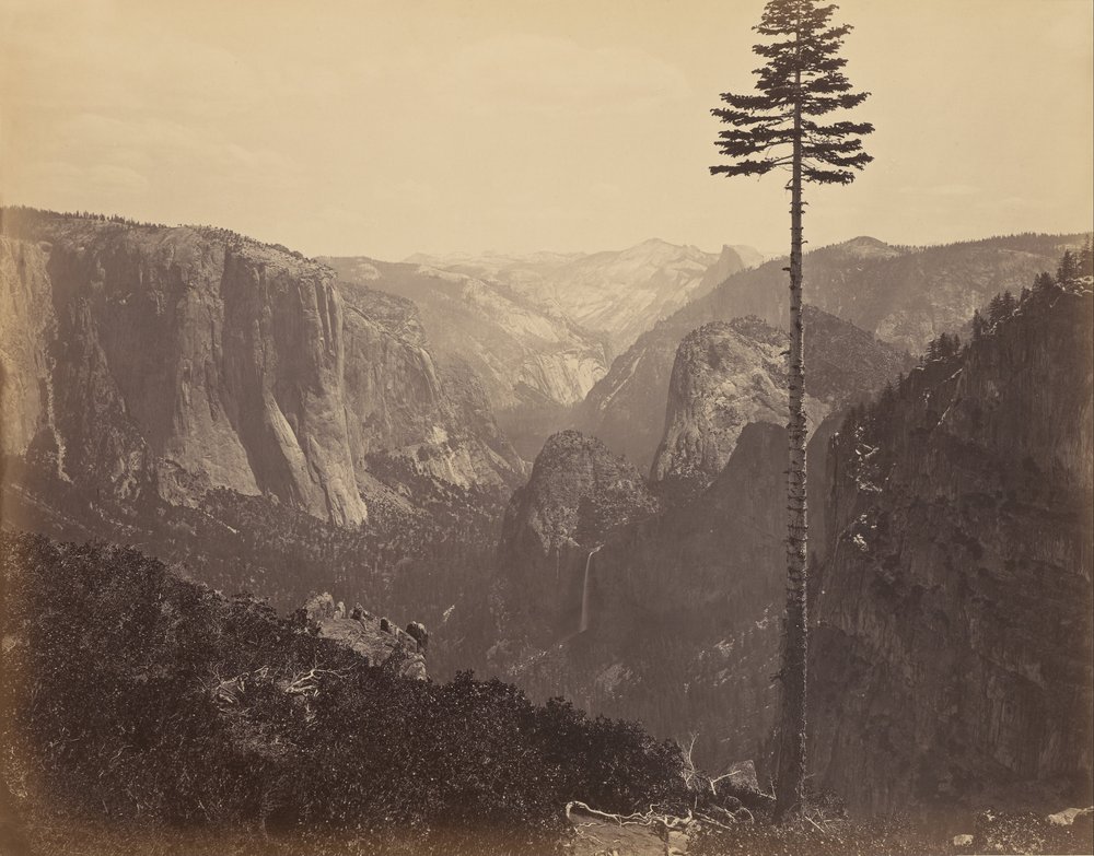 Dolina Yosemite z najlepszego widoku ogólnego autorstwa Carleton Watkins