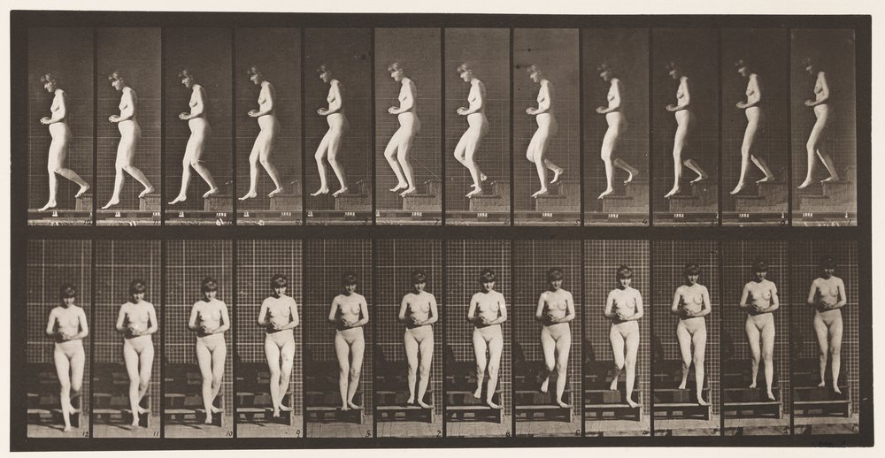 Talerz 128. Schody schodzące, ręce splecione, 1872-1885 autorstwa Eadweard Muybridge