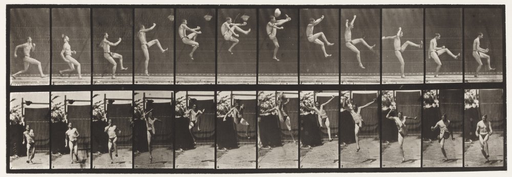 Płyta 366. Bieganie, zaczepianie i kopanie autorstwa Eadweard Muybridge