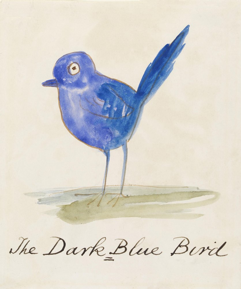 Ciemnoniebieski ptak, z Szesnastu rysunków komicznych ptaków autorstwa Edward Lear
