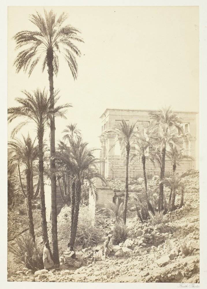 Grupa Palm, 185862. autorstwa Francis Frith