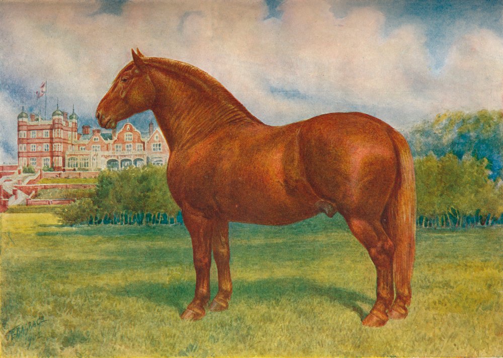 Ojciec Suffolk Prince Wedgwood, c1902 c1910 autorstwa Frank Babbage