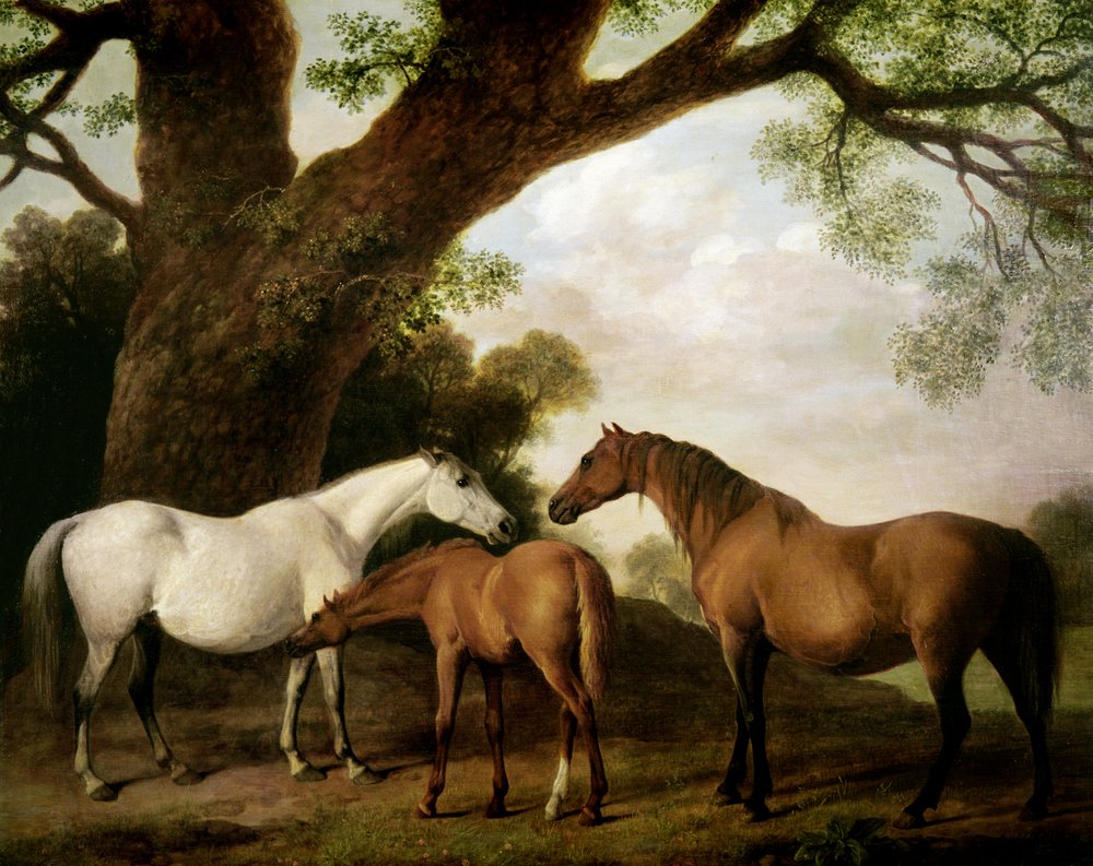 Dwie klacze Shafto i źrebię, 1774 autorstwa George Stubbs
