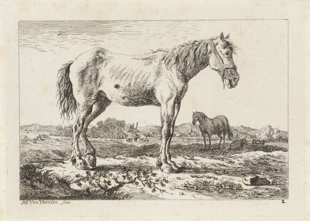 Stojący koń w krajobrazie Sześć odbitek według rysunków różnych mistrzów (tytuł serii) autorstwa Jacob Elias van Varelen