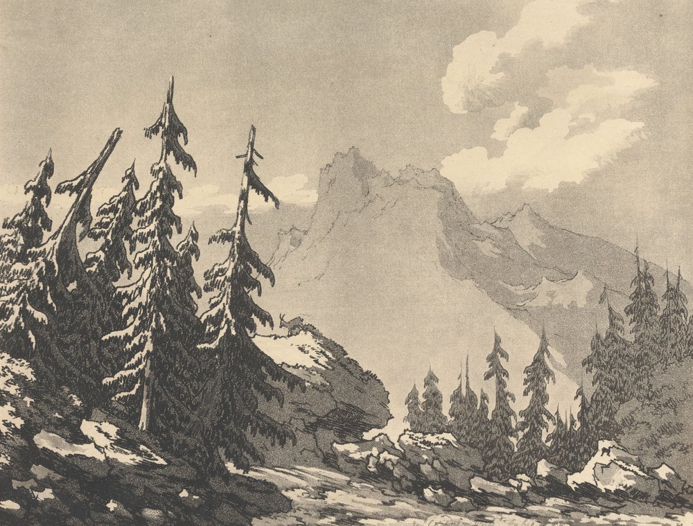 Świerk i jodła autorstwa John Robert Cozens