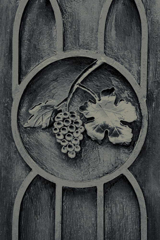 Fruits of the Garden, z serii The Observant, 2016 (zdjęcie) autorstwa Joy Lions