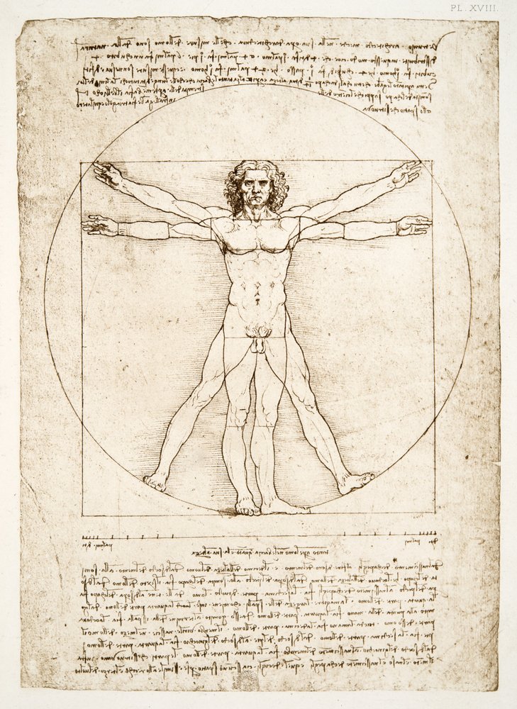 Proporcje postaci ludzkiej (według Witruwiusza), ok. 1492 (faksymile) autorstwa Leonardo da Vinci