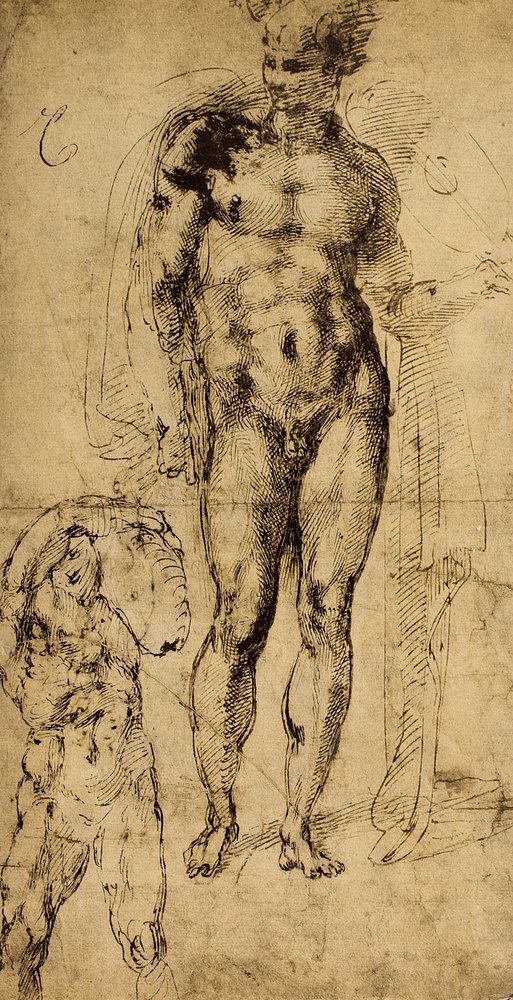 Studium aktów; rysunek Michała Anioła. Luwr, Paryż autorstwa Michelangelo Buonarroti