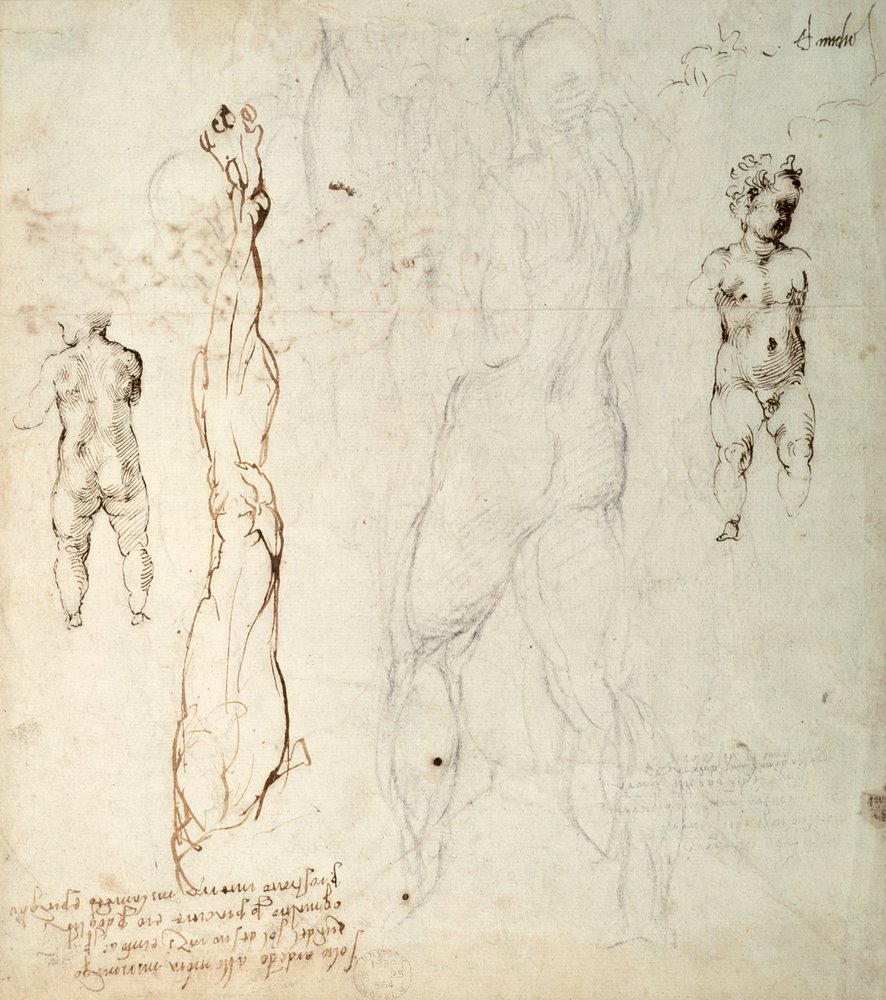 Studium Dzieciątka Jezus i rysunek anatomiczny z notatkami (czarna ...