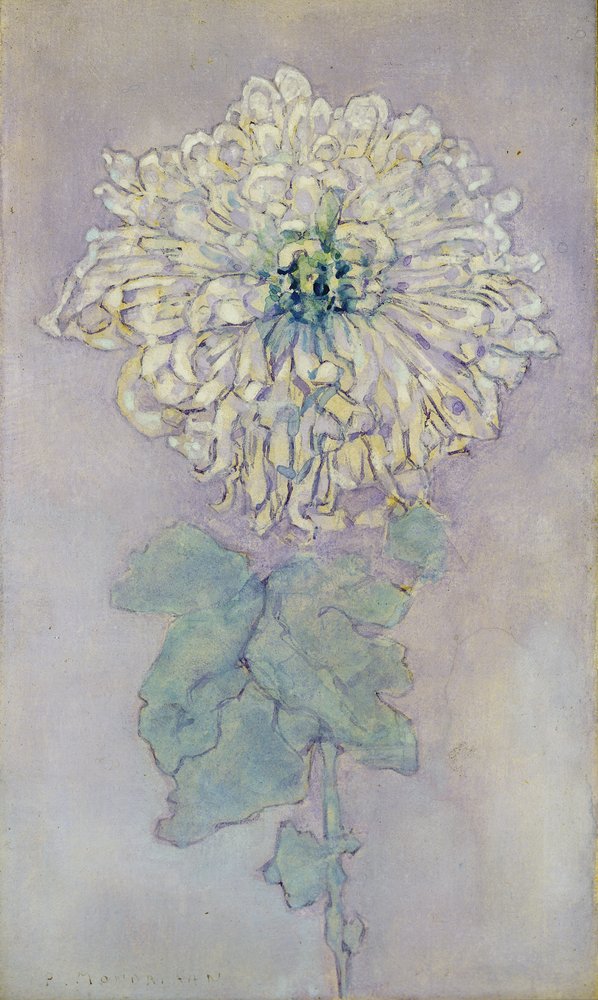 Chryzantema (wc na papierze) autorstwa Piet Mondrian