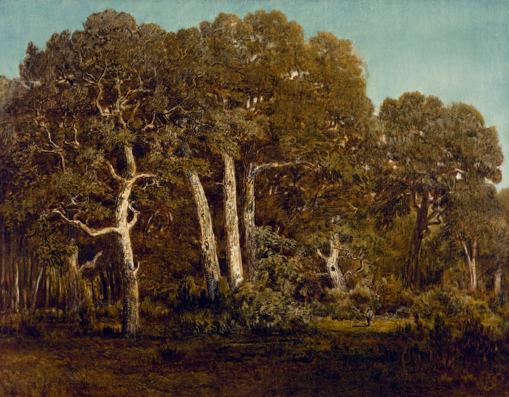 Wielkie dęby starego Bas-Bréau, 1864 autorstwa Pierre Etienne Theodore Rousseau