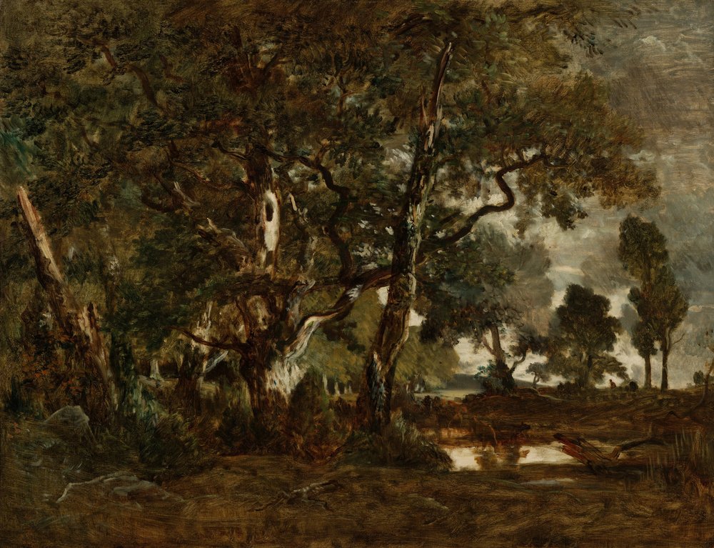 Las Fontainebleau, grupa wysokich drzew z widokiem na równinę Clair-Bois na skraju Bas-Bréau autorstwa Pierre Etienne Theodore Rousseau