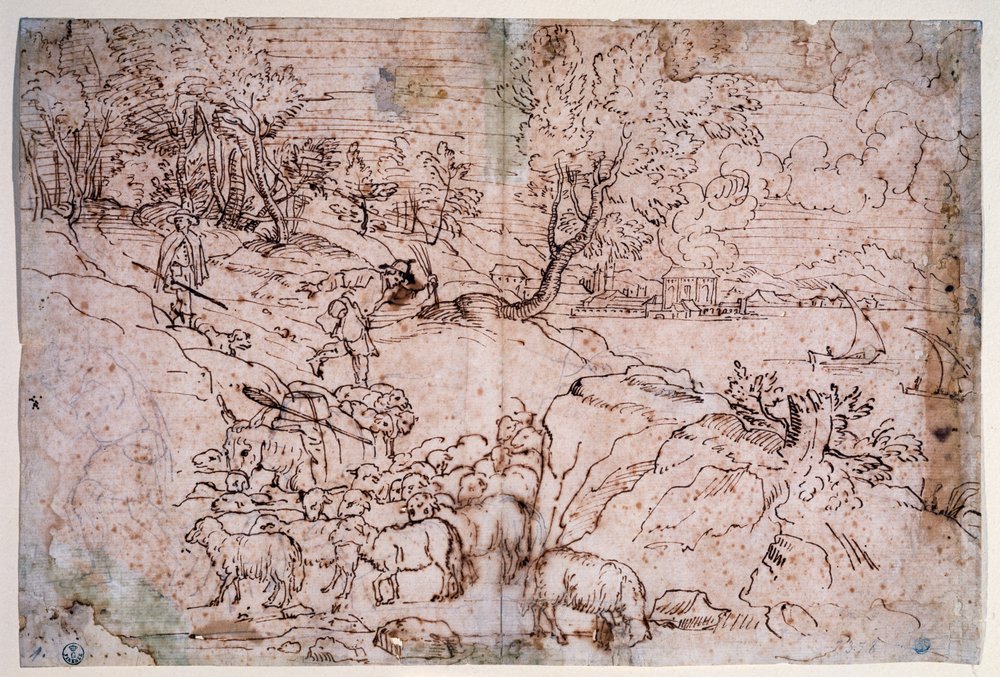 Studium krajobrazu z owcami autorstwa Titian (c.1488-1576)