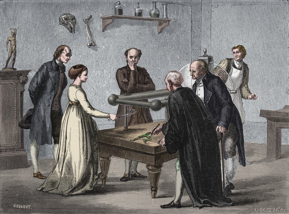 Odkrycie Galvanisa, 1780 1894 autorstwa Unbekannt