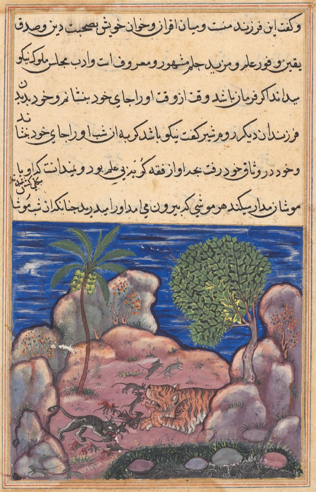 Strona z Tales of a Parrot Tuti-nama: Piętnasta noc: Kot atakuje myszy..., 1558-1560. autorstwa Unbekannt