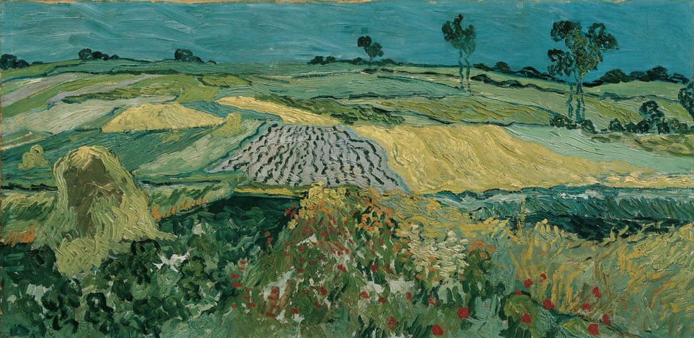 Równina Auvers, 1890 autorstwa Vincent van Gogh