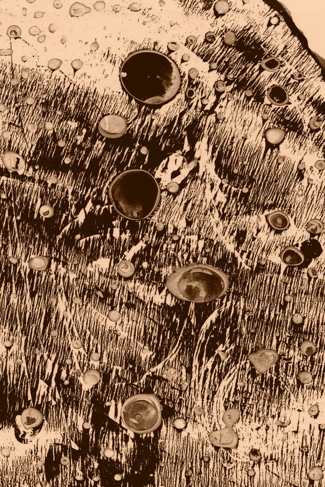 Tlen autorstwa Alexander Adiels