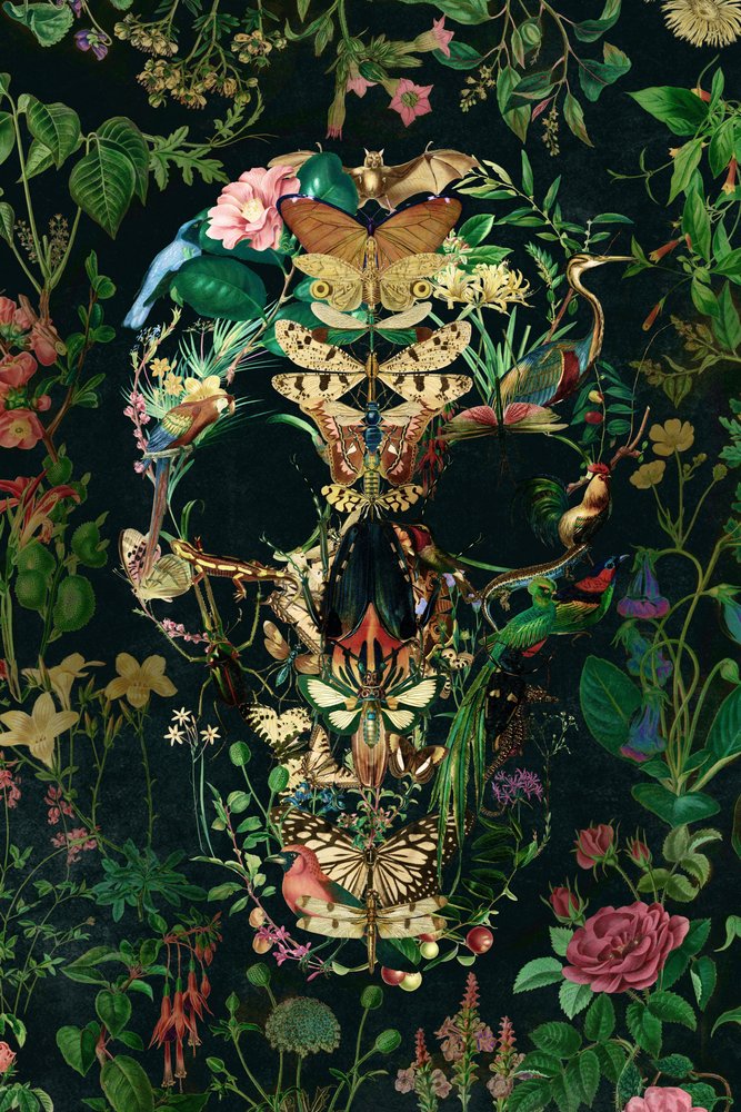 Mroczna czaszka natury autorstwa Ali Gulec