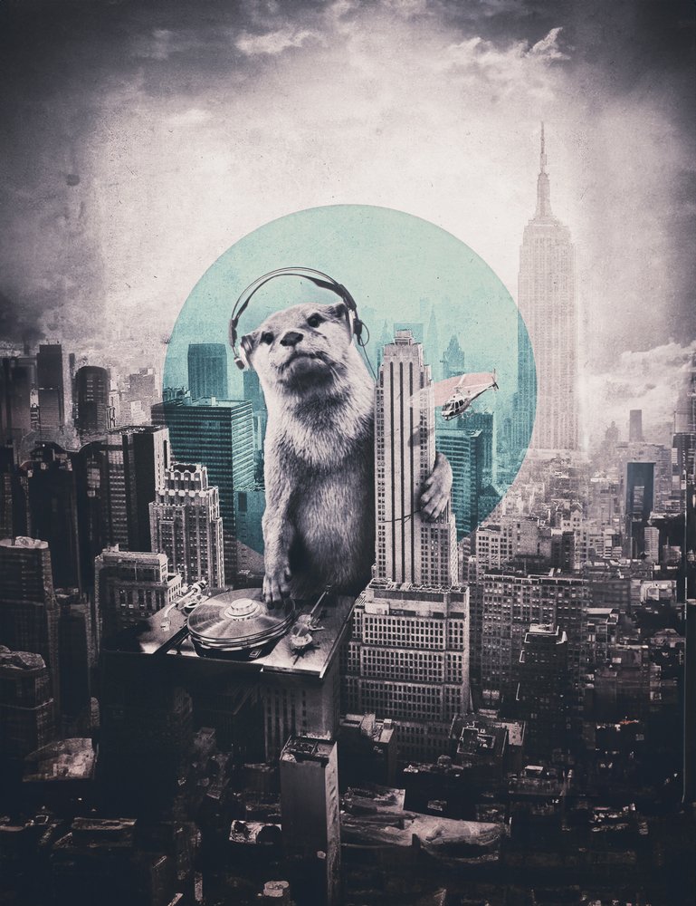 Urban Otter DJ autorstwa Ali Gulec