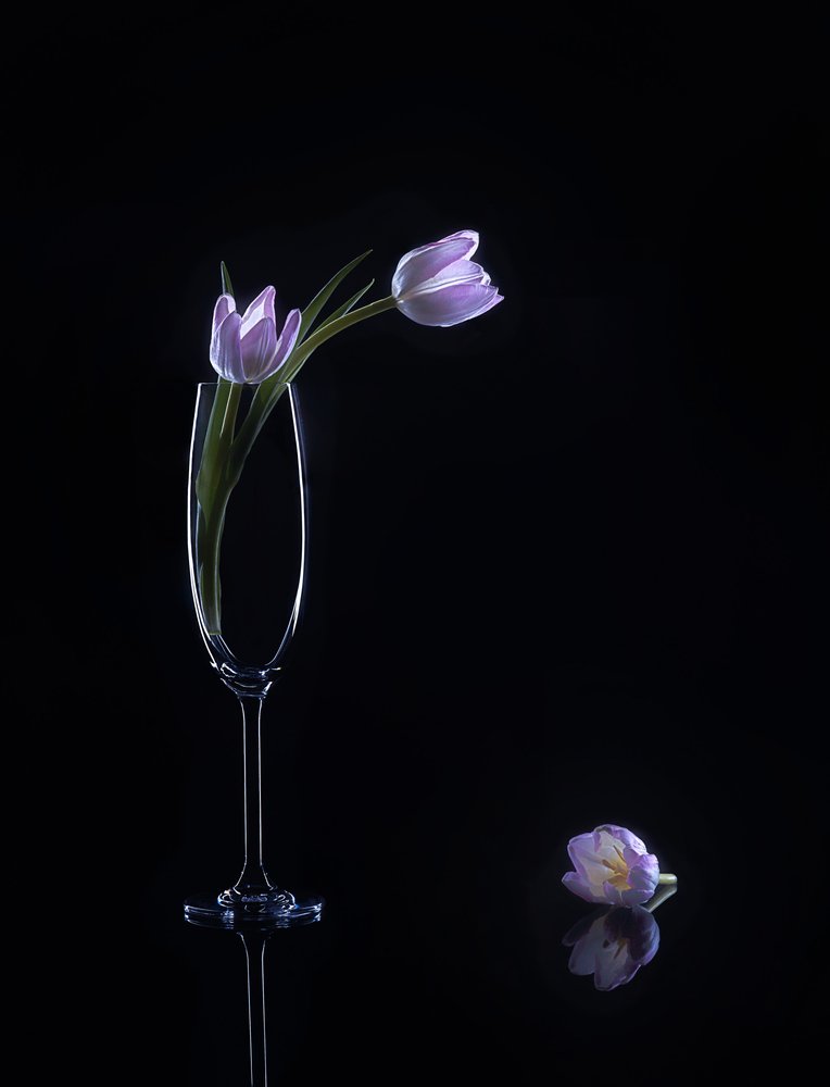 Eleganckie fioletowe tulipany autorstwa Alice Sheng
