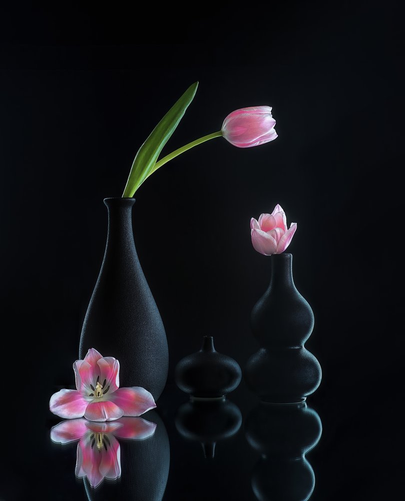 Eleganckie odbicia tulipanów autorstwa Alice Sheng