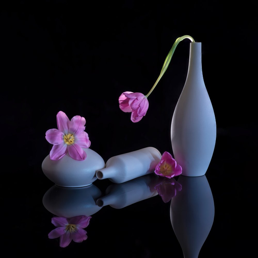 Odbite fioletowe tulipany autorstwa Alice Sheng