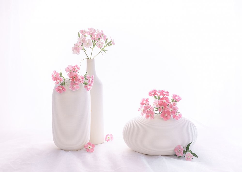 martwa natura 114 autorstwa Alice Sheng