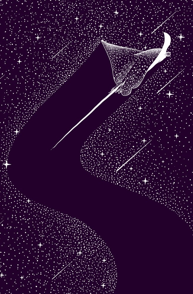 Niebiański orzeł morski autorstwa Alirıza ÇAKIR