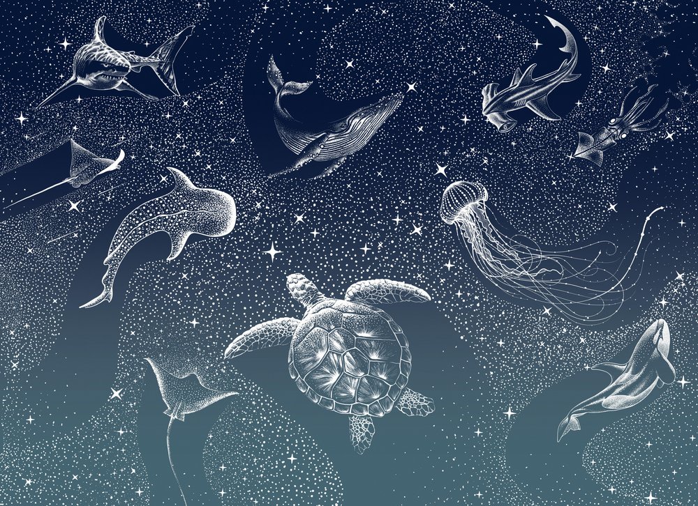 Życie morskie w kosmosie autorstwa Alirıza ÇAKIR