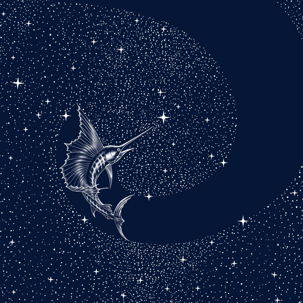 Żaglica niebiańska autorstwa Alirıza ÇAKIR