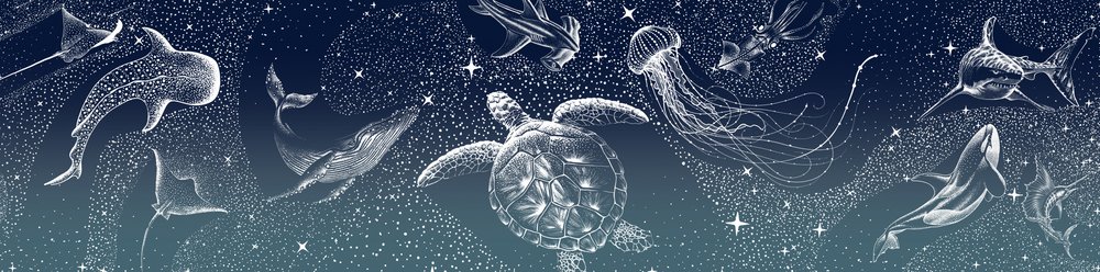 Niebiańskie zwierzęta morskie autorstwa Alirıza ÇAKIR