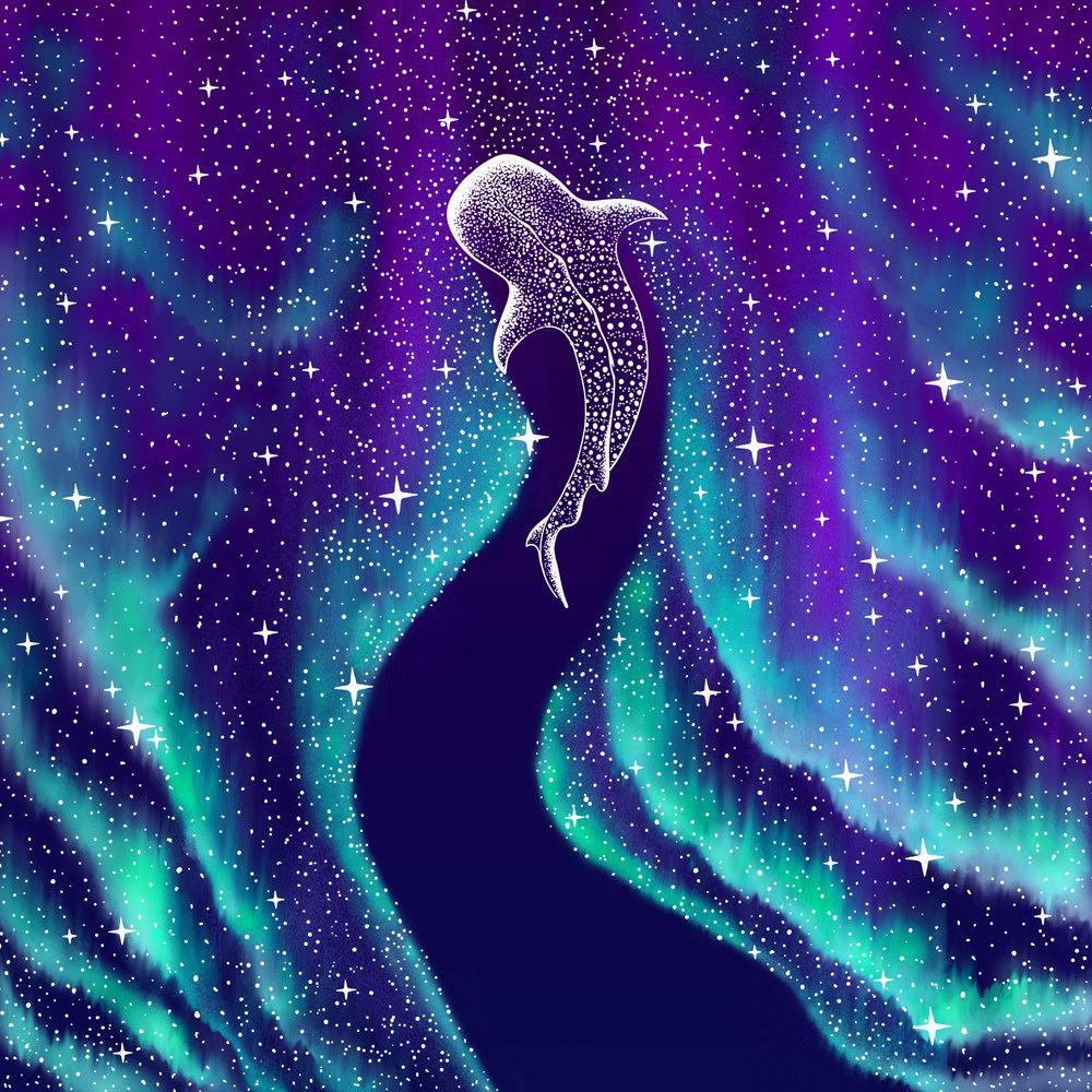 Niebiański rekin wielorybi autorstwa Alirıza ÇAKIR